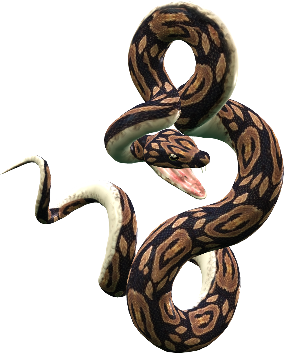 Python Snake PNG Transparent Python Snake Images  HD Free Download