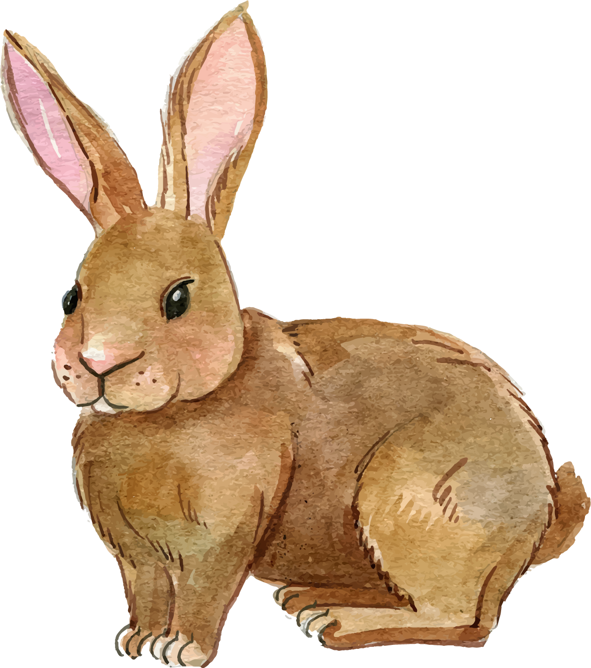 Rabbit PNG Transparent Images   HD Free Download
