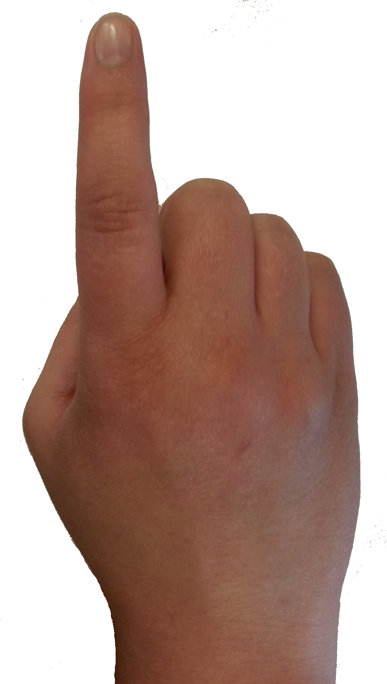 Real Hand Images Clkerm Vector Clip Art  HD Free Download