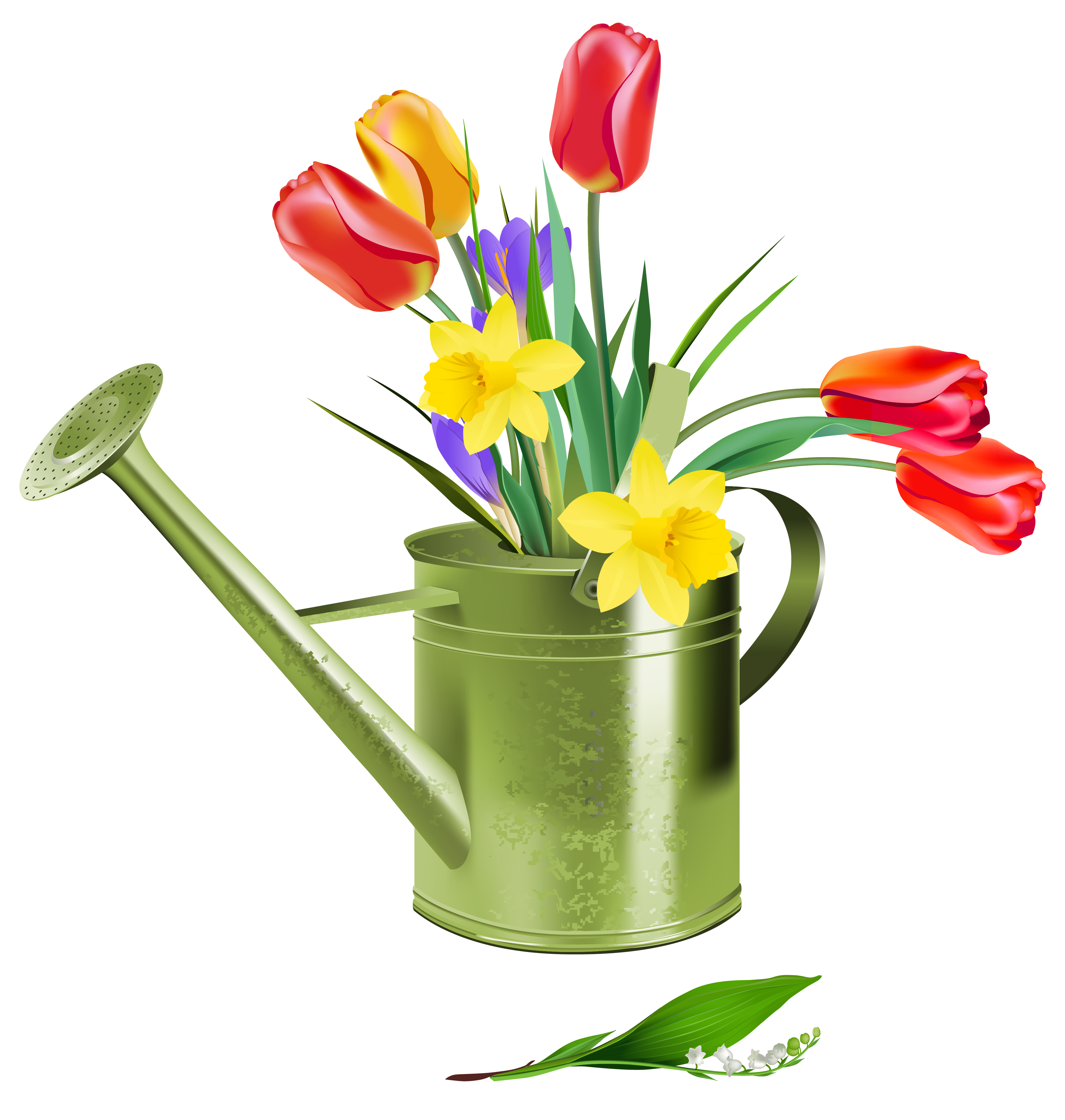 Red Yellow Flowers Spring Clipart   HD Free Download