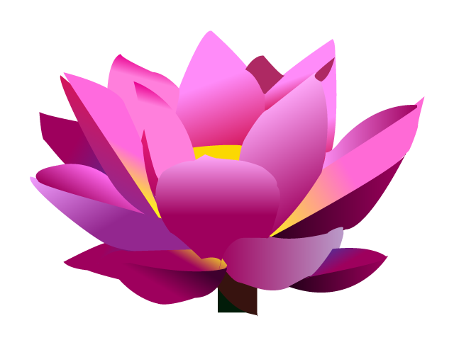 Pinkl Lotus Drawing Vector  HD Free Download