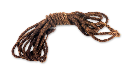 Rope What Can You Make From Buffalo Tracking The Buffalo  HD Free Download