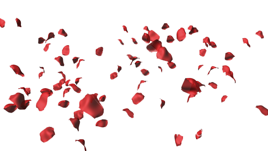 Rose Petals Falling Talas Rosas Vermelhas PNG Quero Imagem  HD Free Download