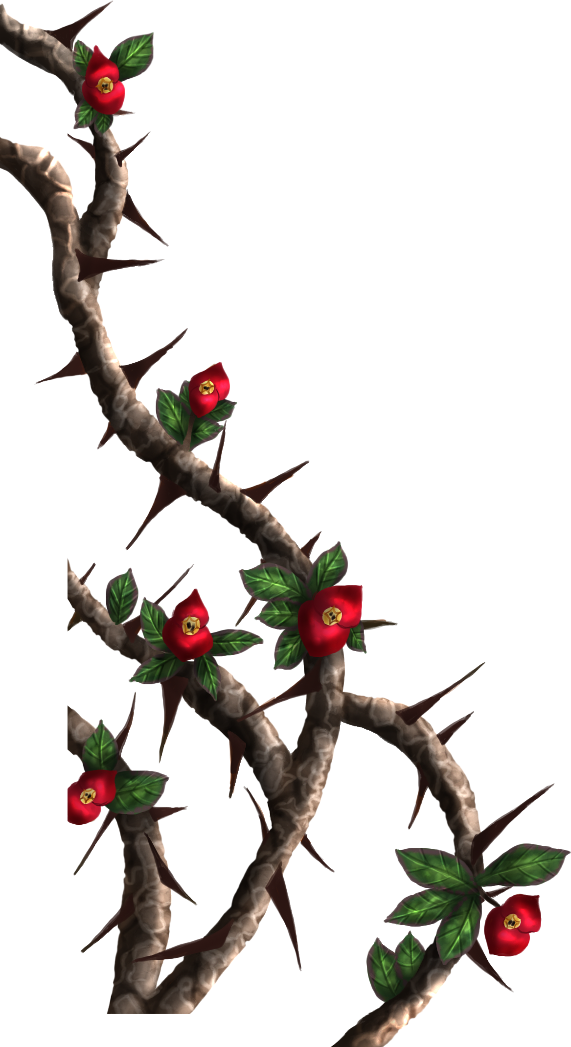 Rose Thorns Temps Eave Une Fleur Fragile Aux Pines  HD Free Download