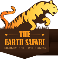 Safari Forests India Logo The Earth Safari  HD Free Download