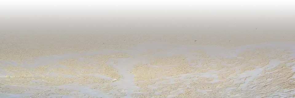 Sand Sell Your House  HD Free Download