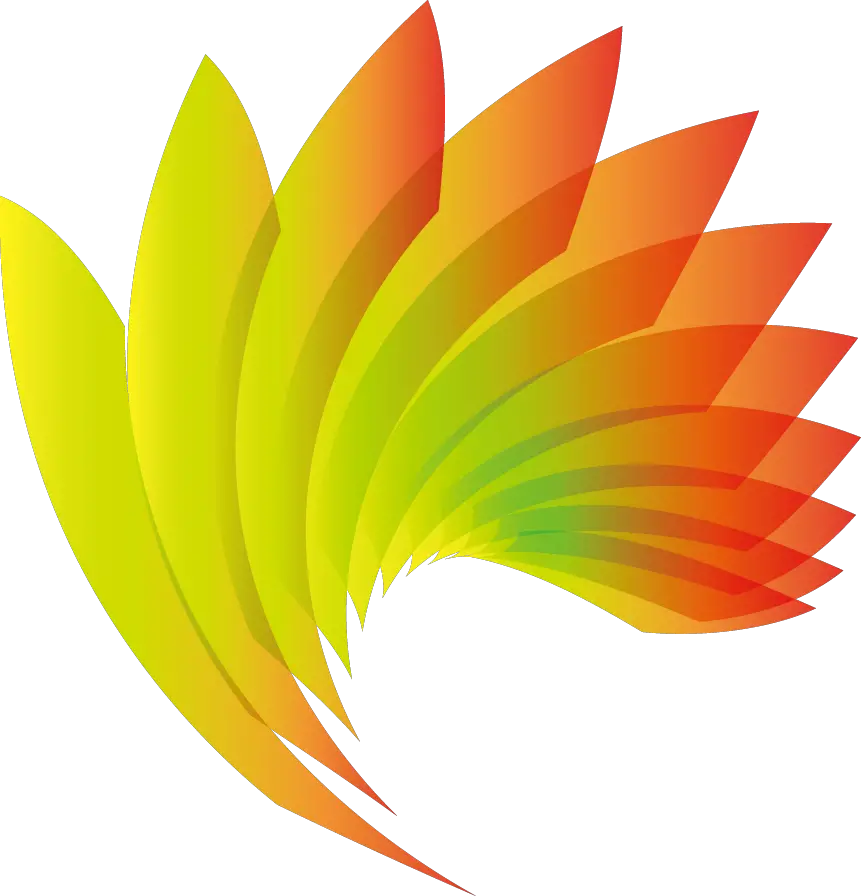 Shape Vector Leaf Shapes PNG Leaf Shapes Transparent Images  HD Free Download