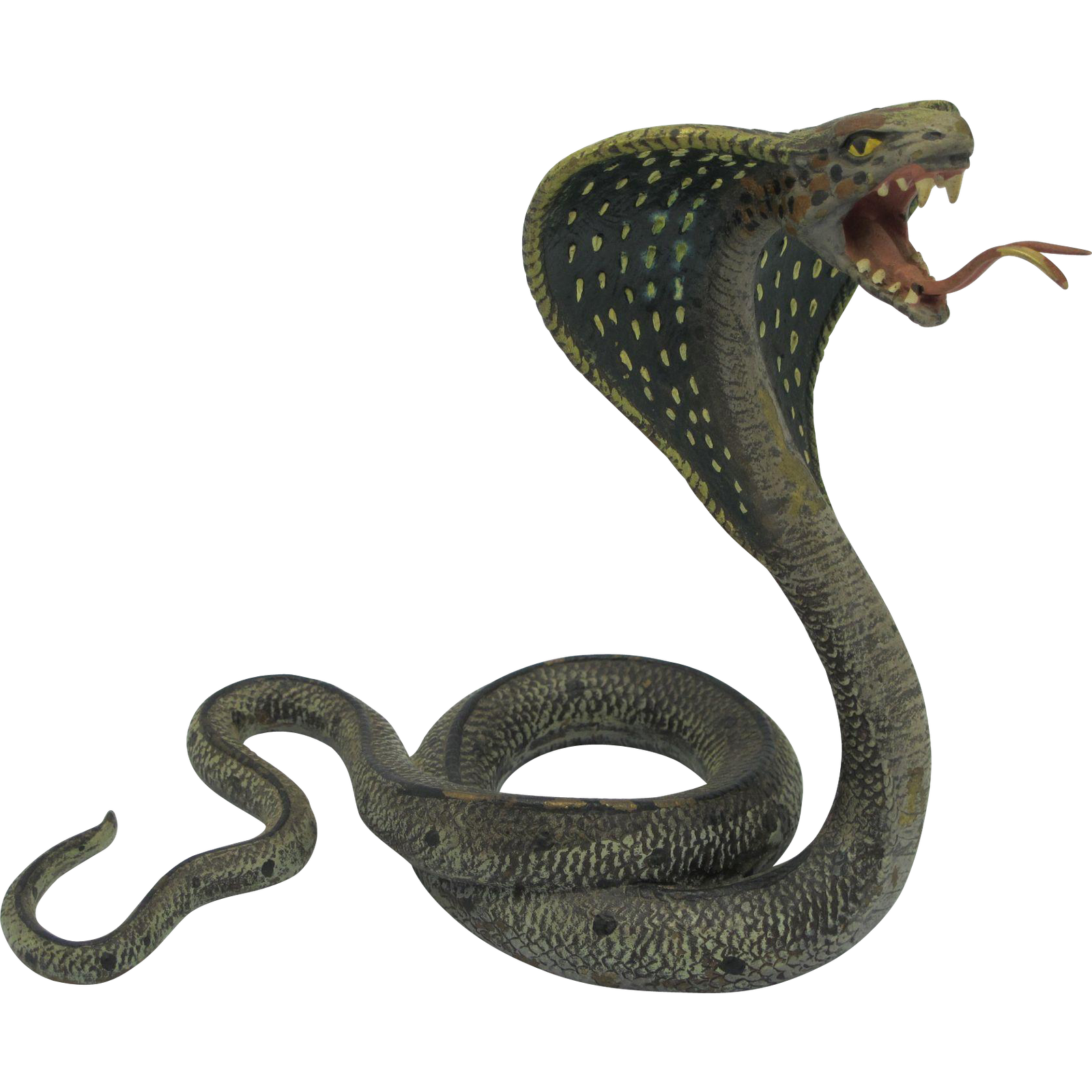 Snake Snakes PNG Transparent Images Clipart And Alpha  HD Free Download