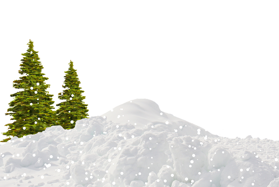 Snow Winter Snowfall Photo  HD Free Download