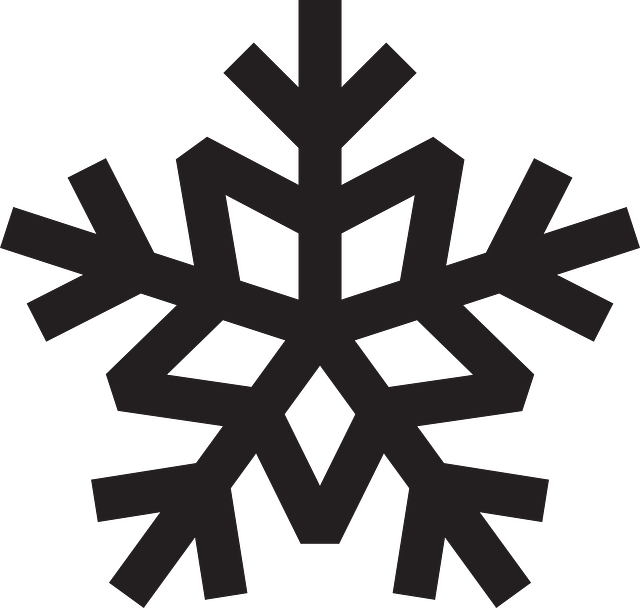 Snowflake Crystal Snow Vector Graphic   HD Free Download