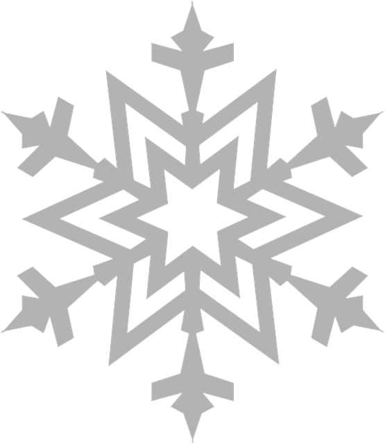 Snowflake Frost Ice Vector Graphic   HD Free Download