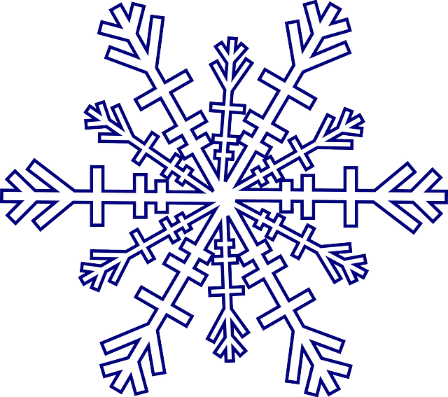 Snowflake Winter Cold Vector Graphic   HD Free Download