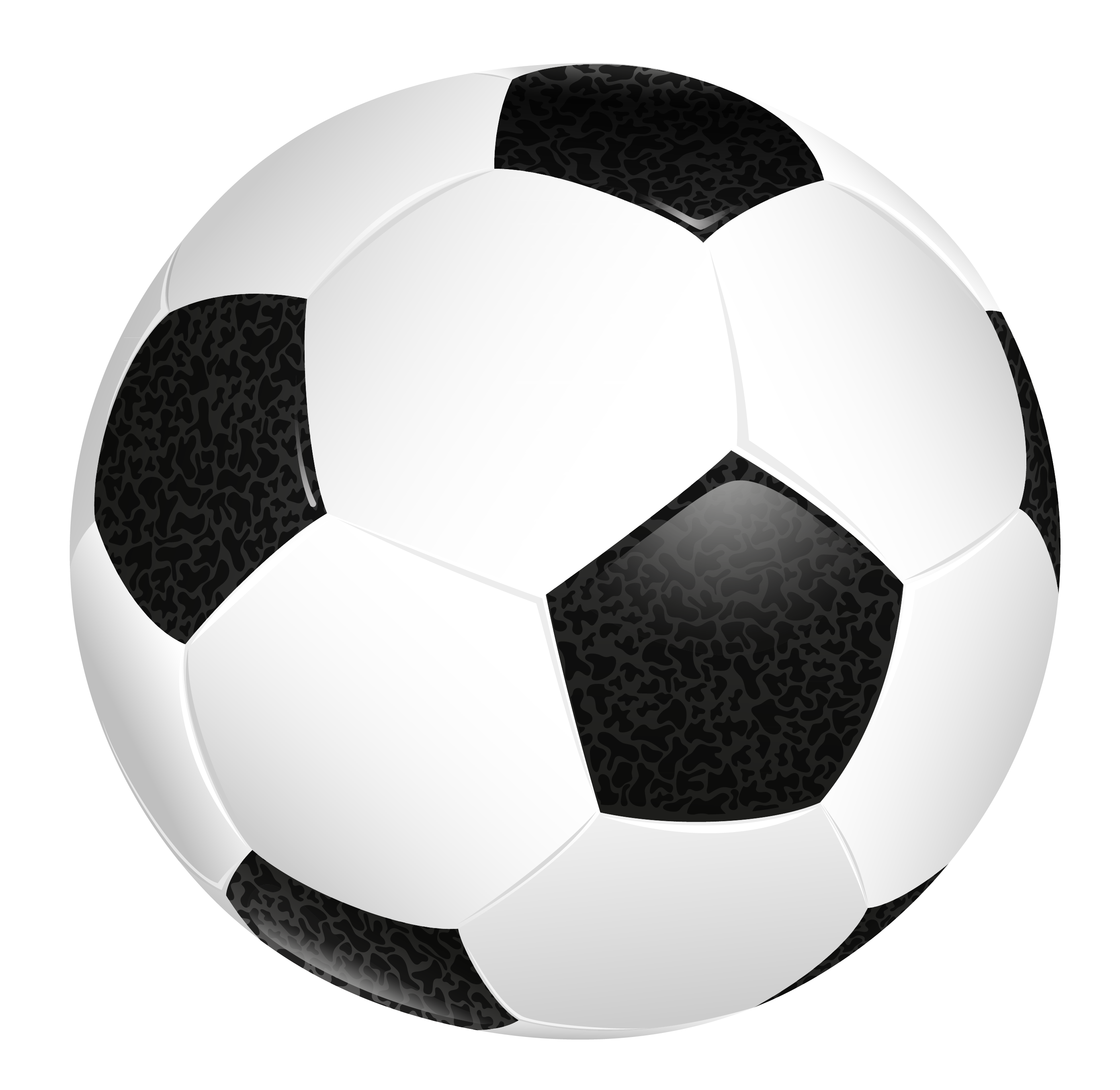 Soccer Ball Football Sporting Goods Ball PNG  HD Free Download