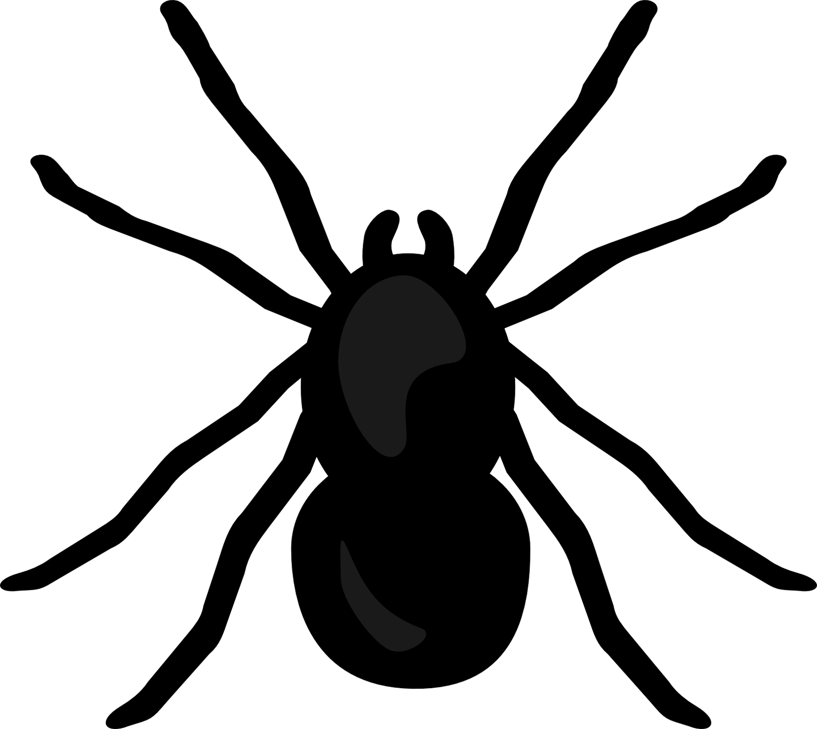 Spider Stormdesignz Clip Art And Digitals HD Free Download