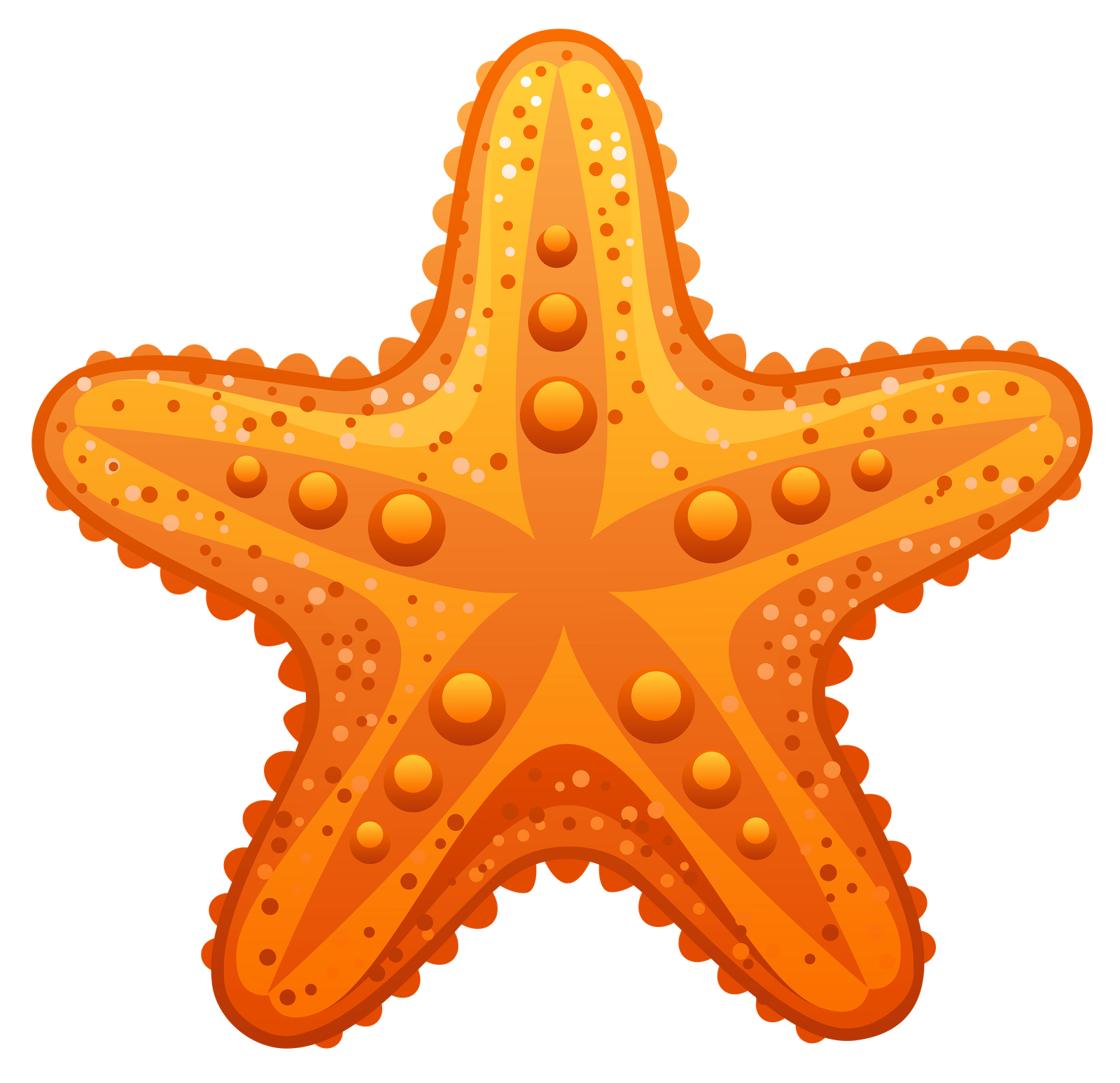 Starfish Clam Clipart Marine Life For And Use Images Presentations Longfordpc  HD Free Download