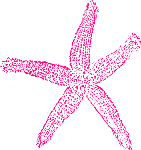 Starfish Clip Art Clkerm Vector Clip Art Online Royalty Domain  HD Free Download