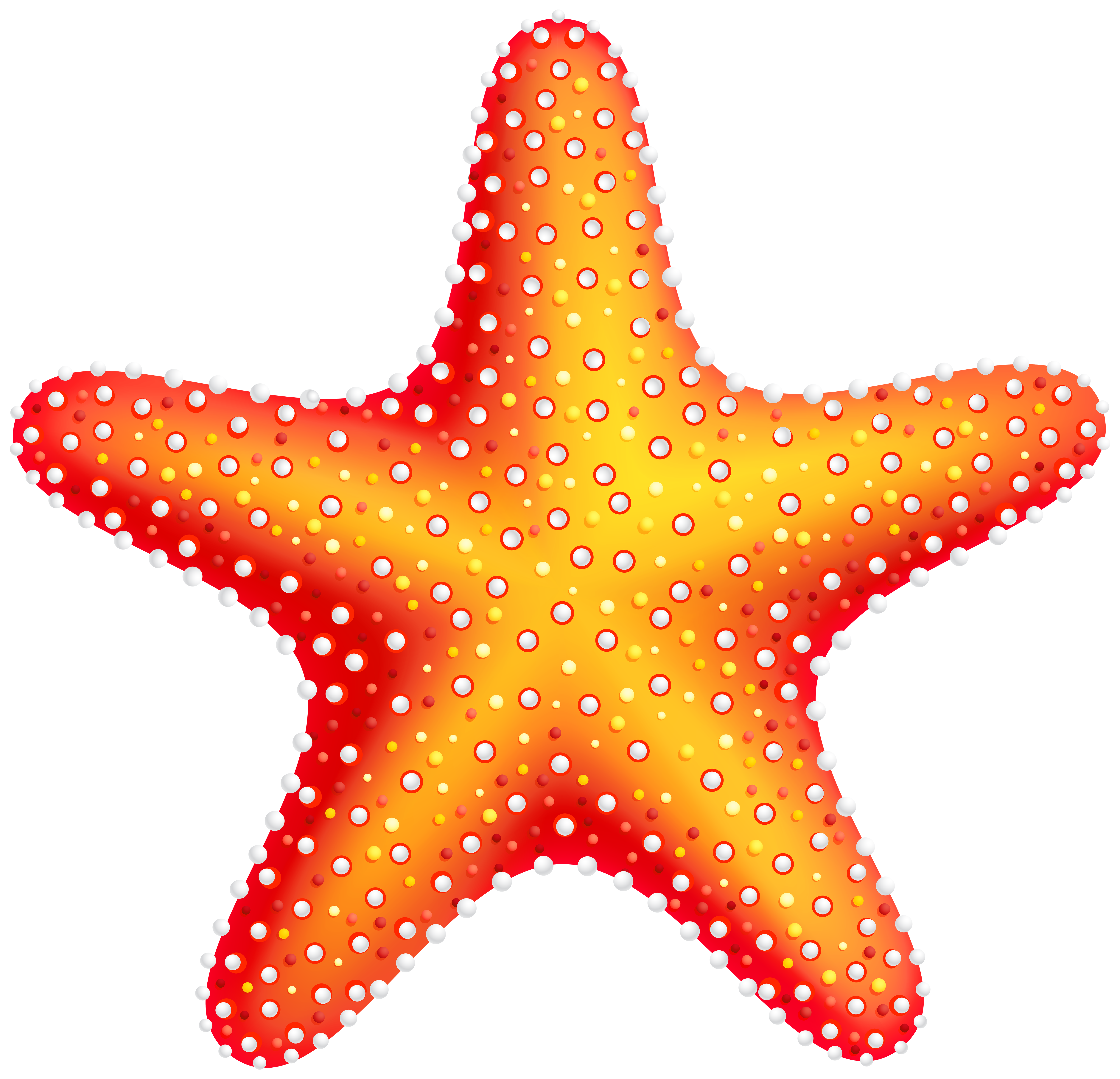 Starfish PNG Clip Art Best Web Clipart  HD Free Download