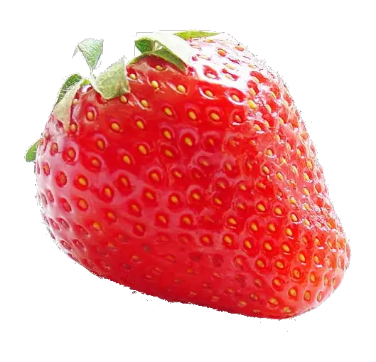 Strawberry Padre Revision Trunk Padre Artwork Logo HD Free Download