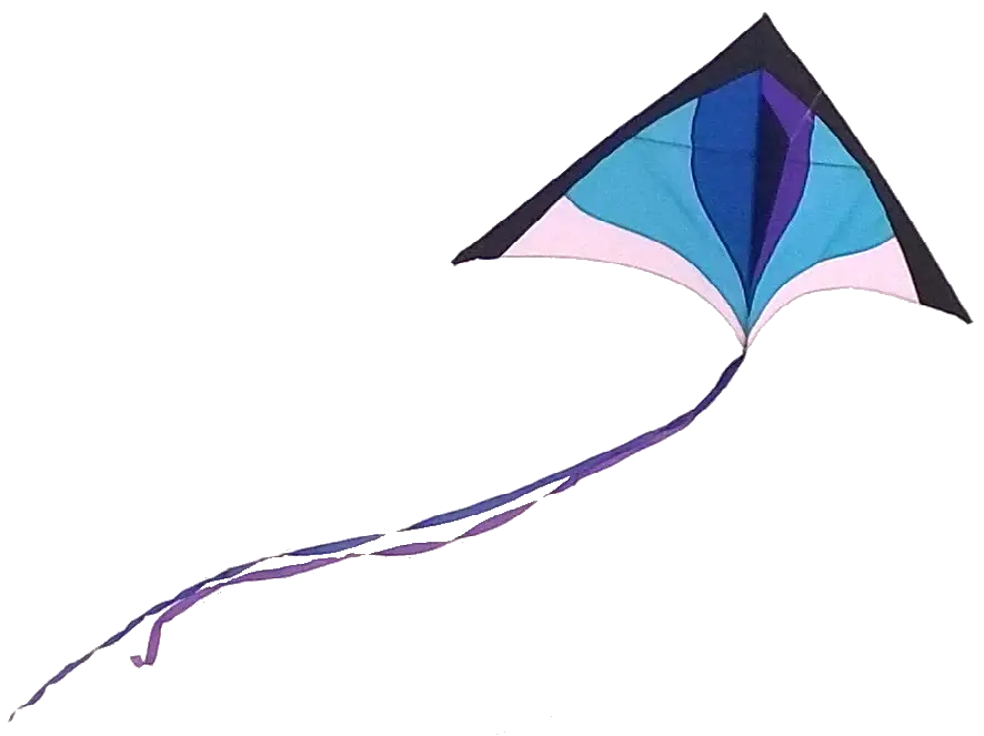 Stuffkidslove Kite Sea Tree Guarantee Registration  HD Free Download