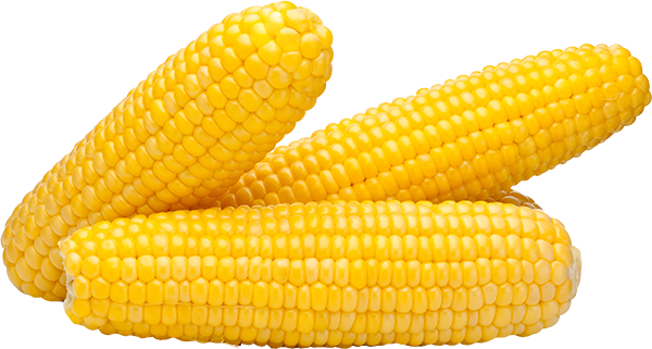 Sweet Corn  HD Free Download