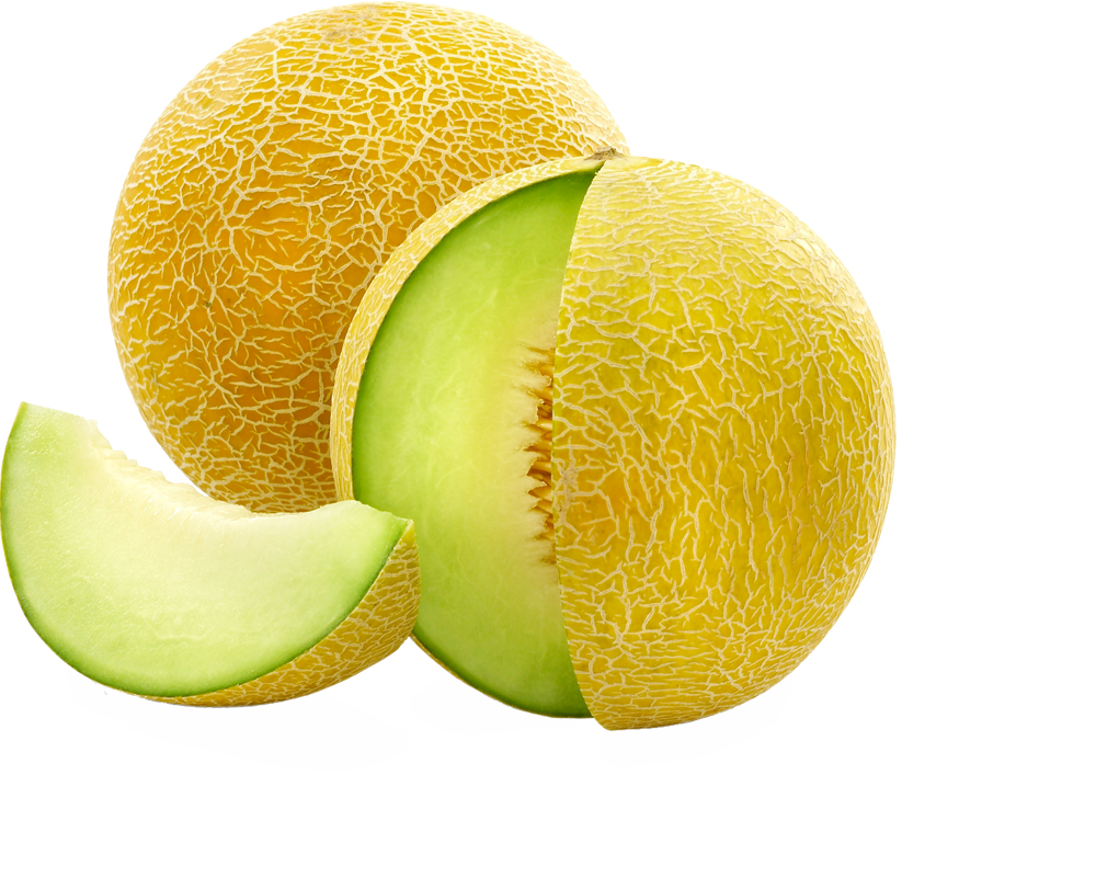 Sweet Melon  HD Free Download