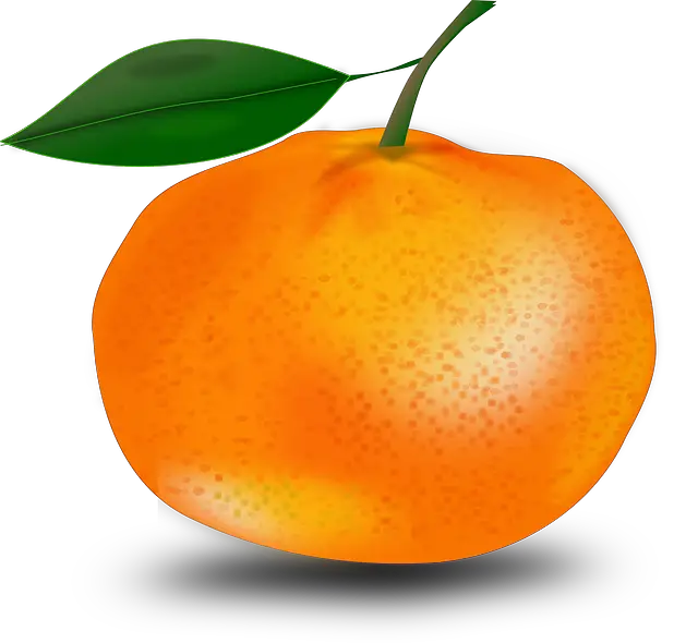 Tangerine Orange Mandarin Vector Graphic HD Free Download