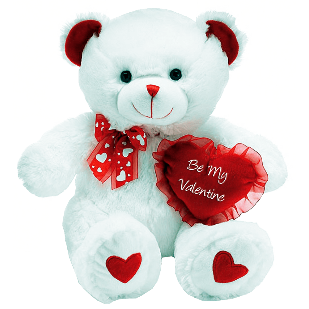 Teddy Bear Gallery PNG Images  HD Free Download