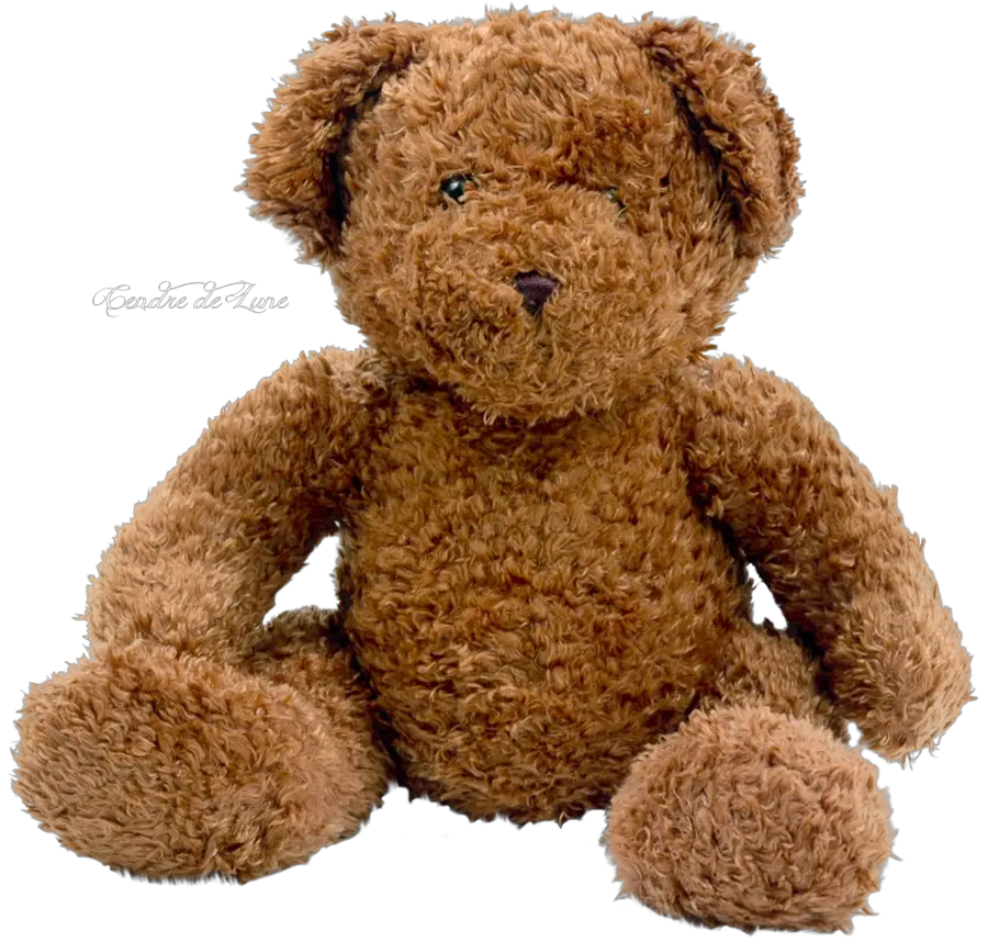 Teddy Bear PNG Cendredelune Deviantart HD Free Download