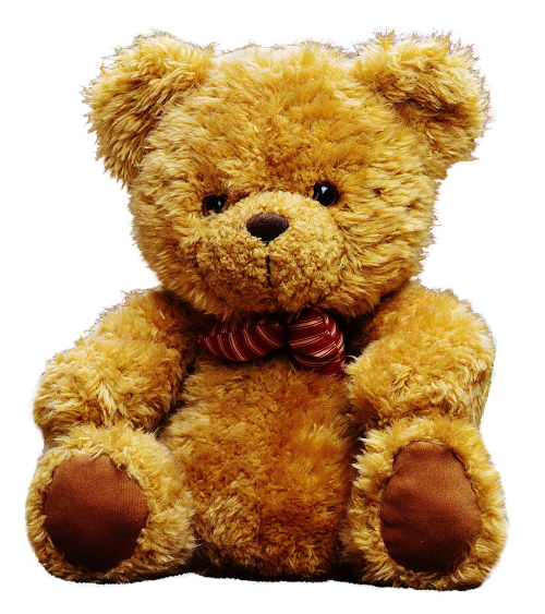 Teddy Bear PNG Image   HD Free Download