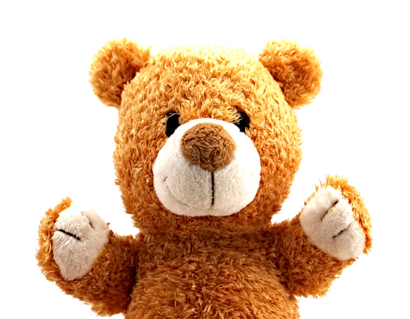 Teddy Bear PNG Image   HD Free Download