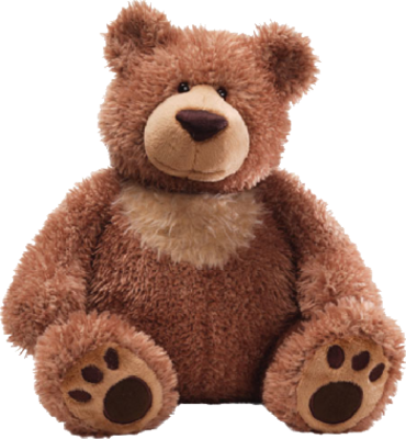 Toy Plush Bear Image  HD Free Download