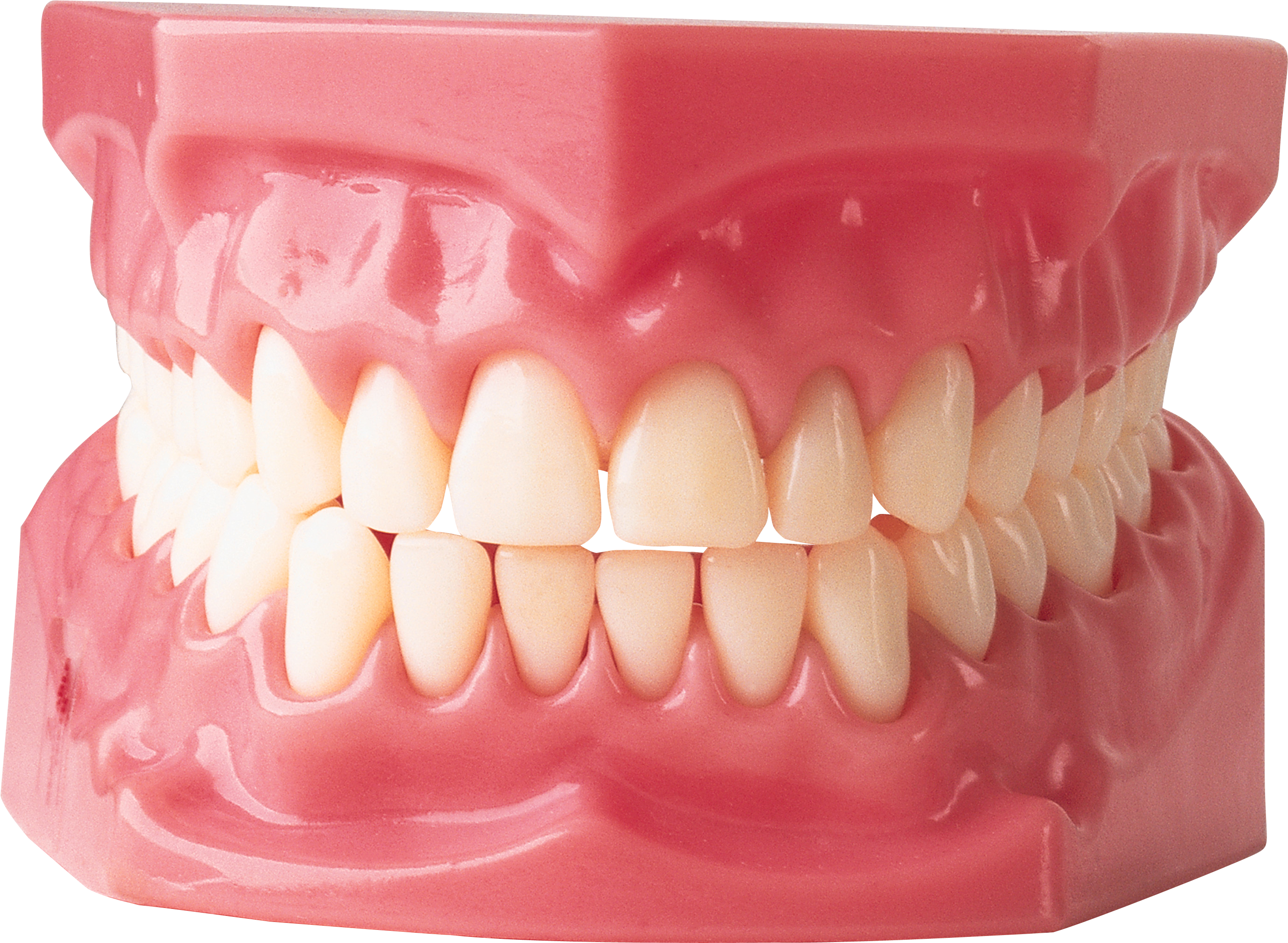 Teeth PNG Icons And PNG Backgrounds  HD Free Download