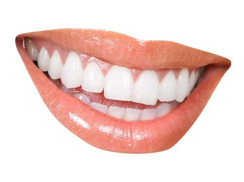 Teeth PNG Transparent Image   HD Free Download