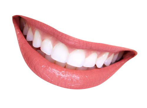 Teeth PNG Transparent Image   HD Free Download