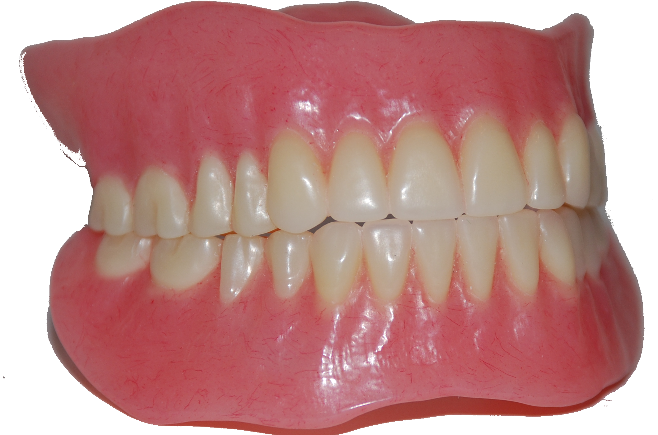 Teeth Transparent PNG Pictures Icons And PNG  HD Free Download