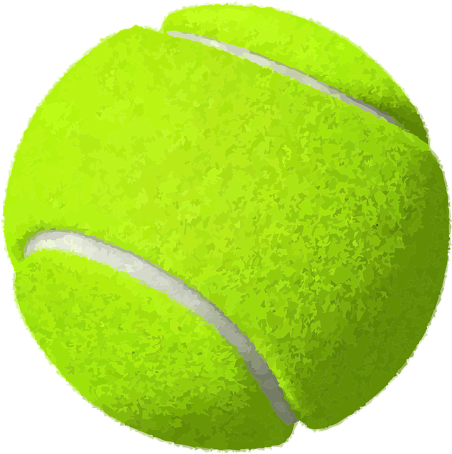 Tennis Ball Yellow Vector Graphic   HD Free Download