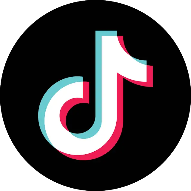 Black Circle Tik Tok Emblem PNG  HD Free Download