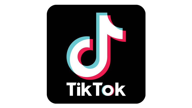 Tiktok Transparent Logo  HD Free Download