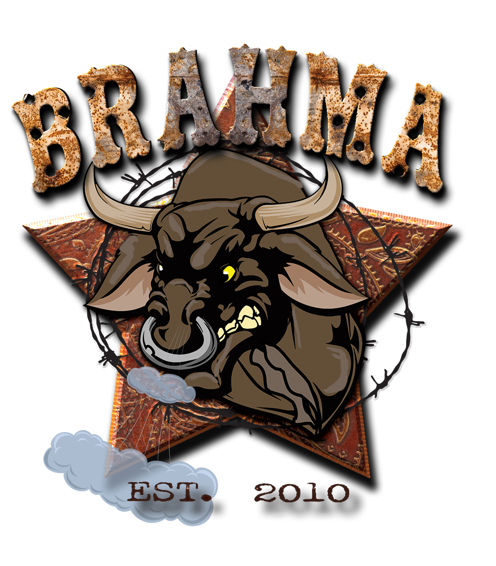 Titan Brahma Logo  HD Free Download
