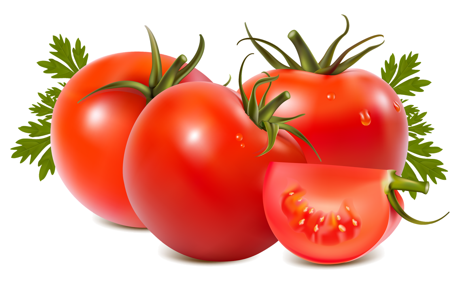 Tomato And Kidney Stone Everyday Life  HD Free Download