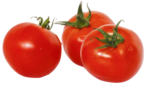 Tomato PNG Image   HD Free Download