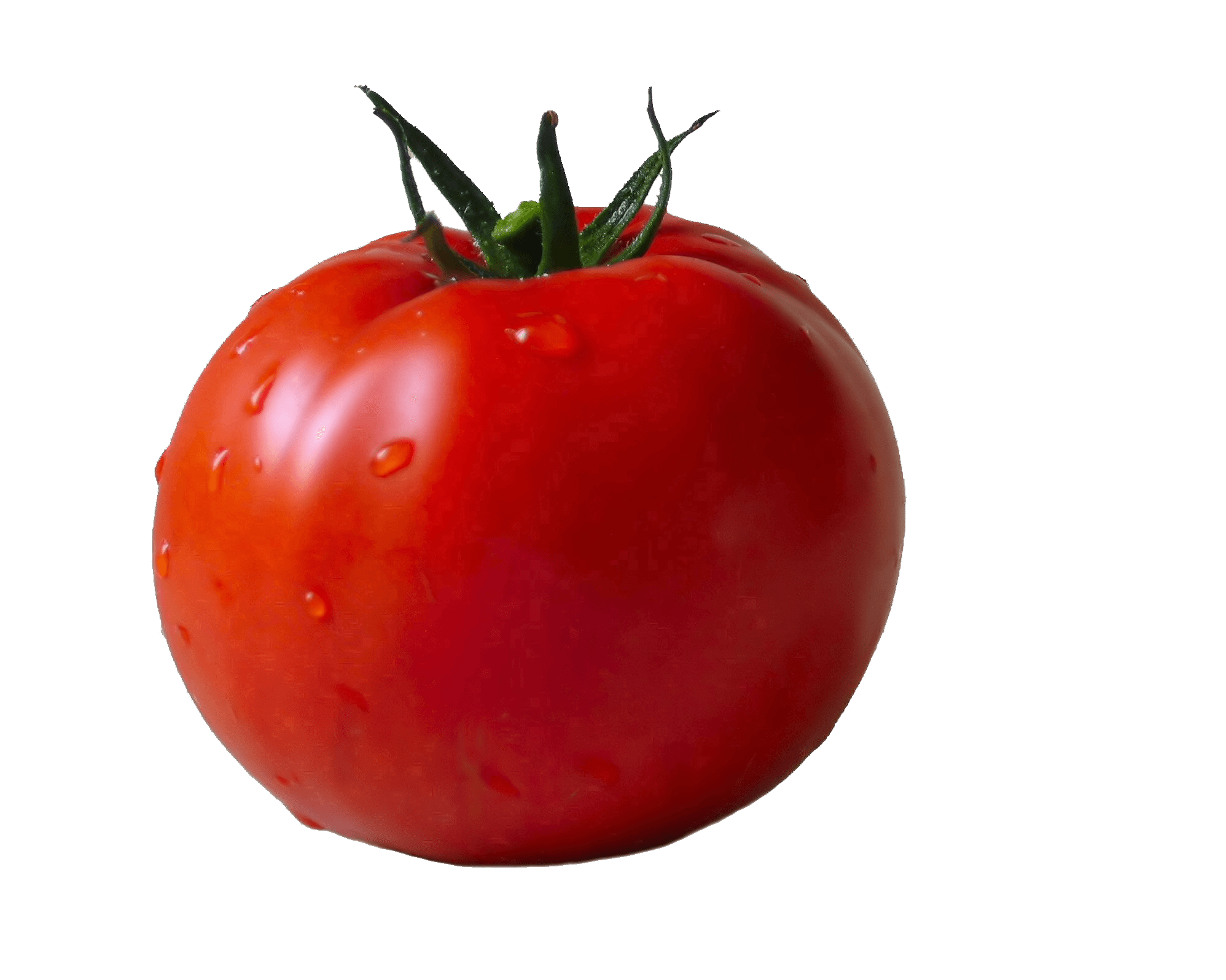 Tomato Transparent PNG Stickpng  HD Free Download