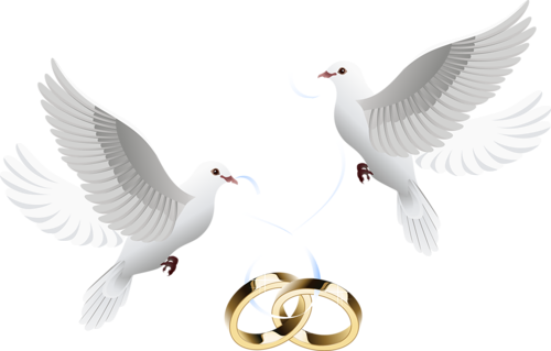 Touching Hearts Wedding PNG  HD Free Download
