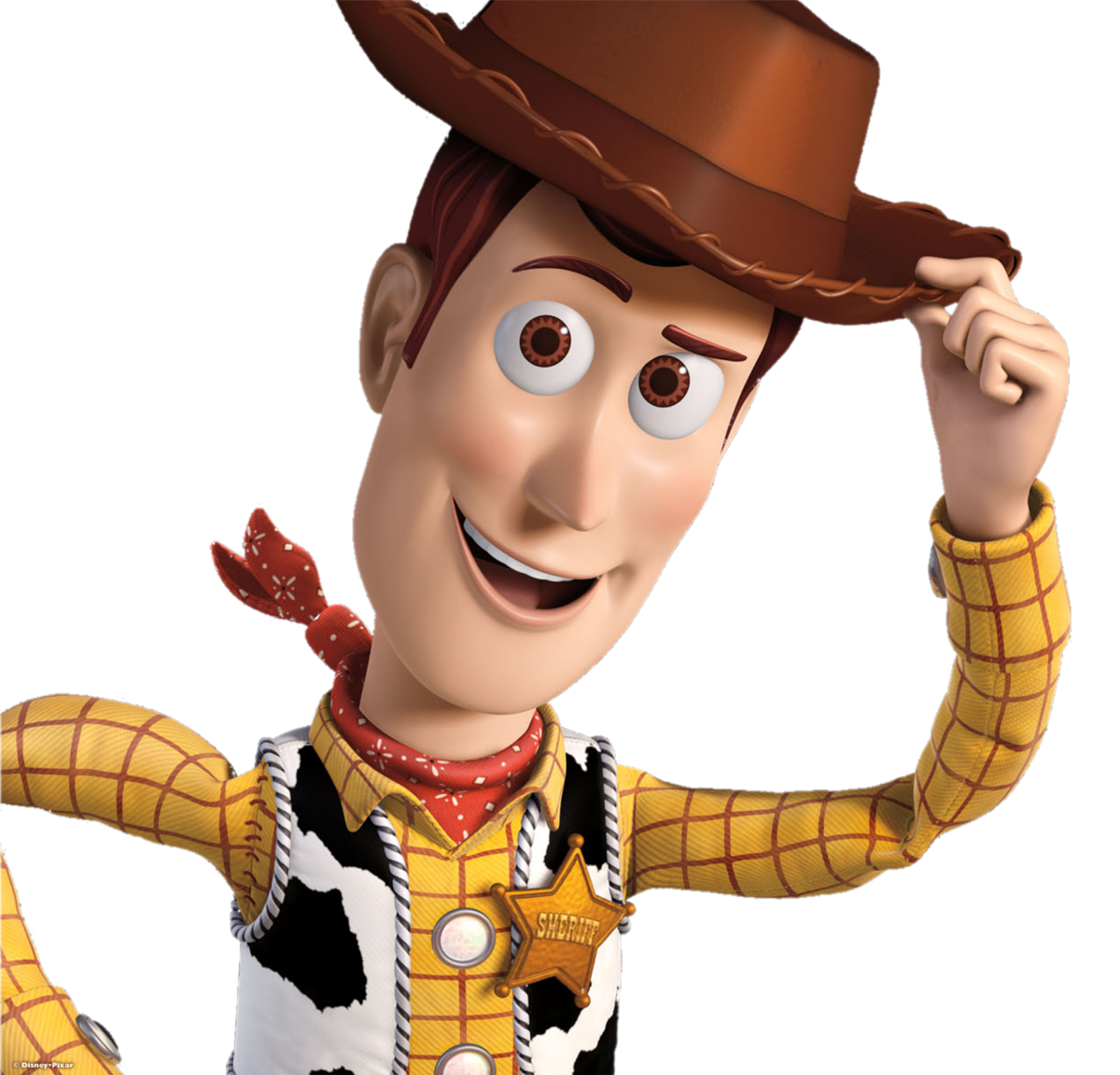 Toy Story Woody Hat Clipart PNG  HD Free Download