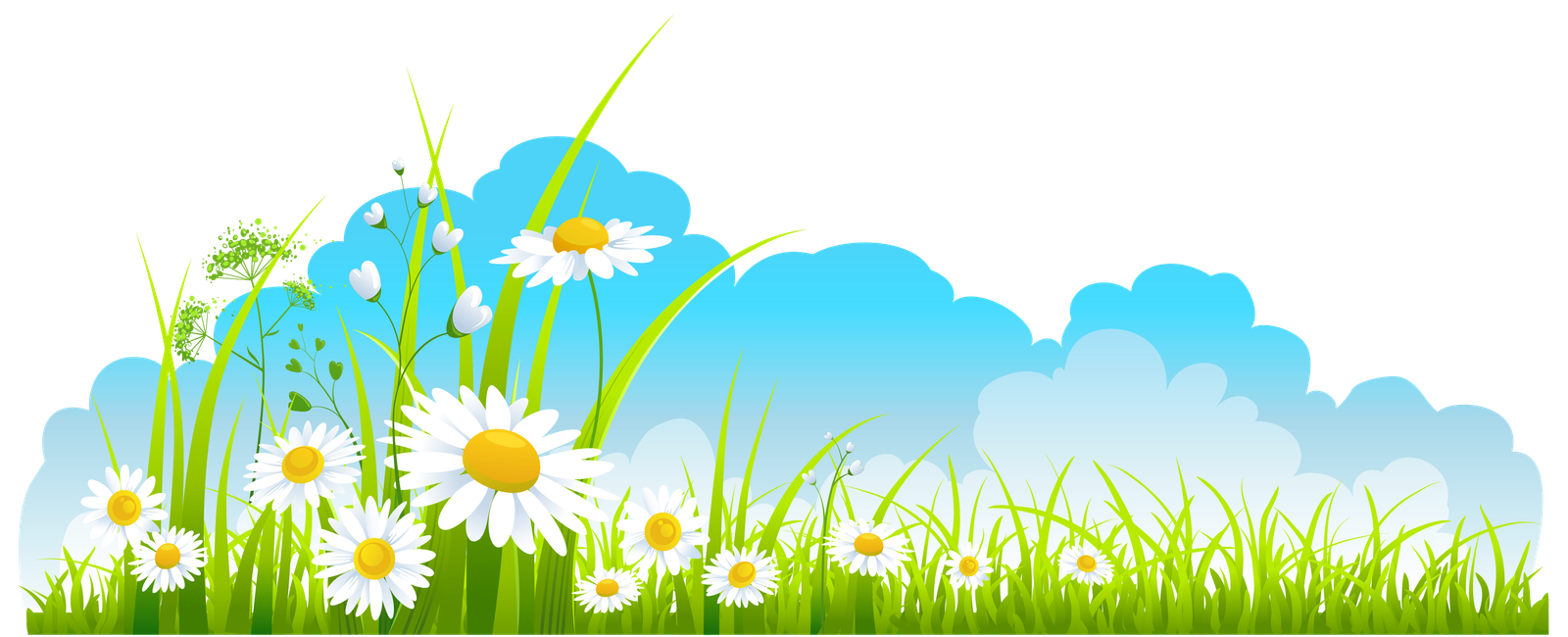 Transparent Spring Picture With Sky And Flowers   HD Free Download