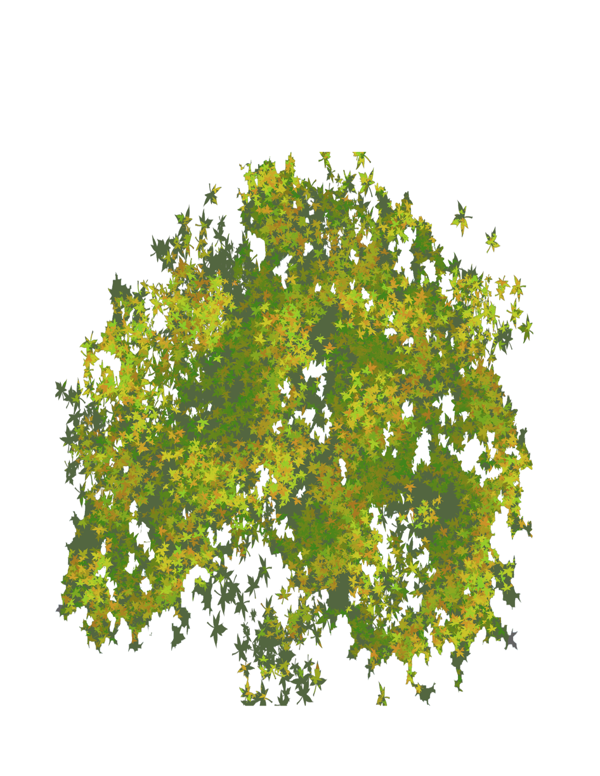 Tree Plan Top Tree Transparent  HD Free Download