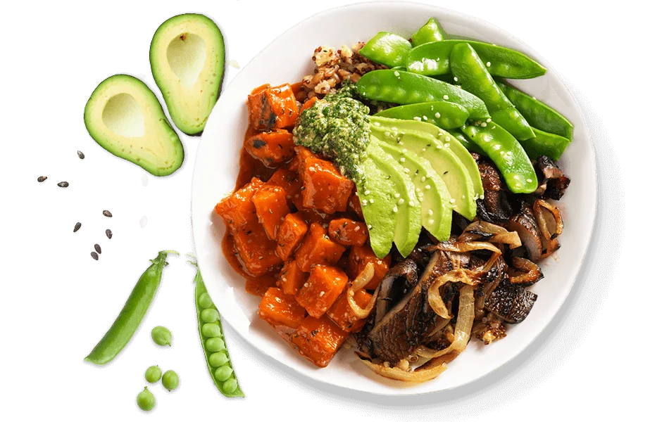 True Food Kitchen  HD Free Download