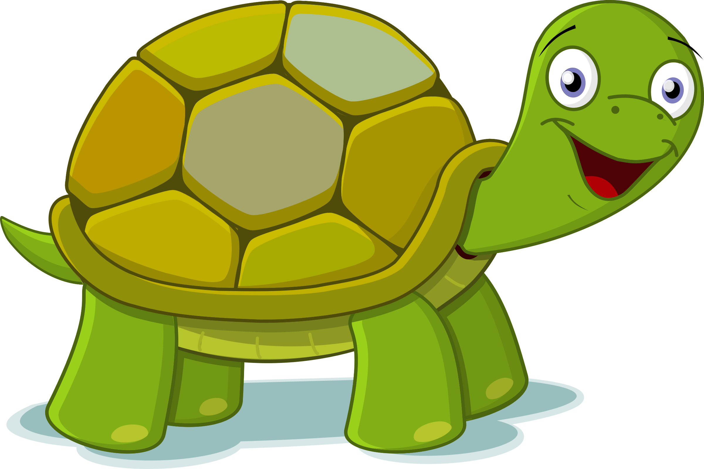 Turtle Clipart PNG Transparent Pencil And Color  HD Free Download
