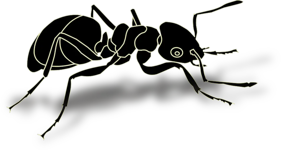 Vector Graphic Ant Insect Hardworking Busy Image HD Free Download