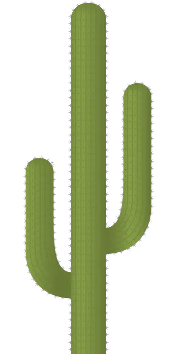 Vector Graphic Cactus Plants Desert Thorn  HD Free Download